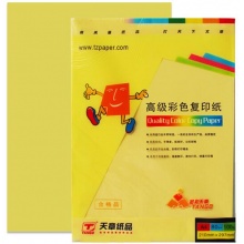 天章 (TANGO) 金彩天章A4 浅黄色彩色复印纸 80g 100张/包 单包装